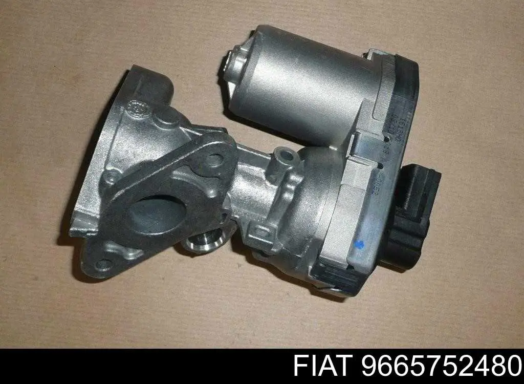 Válvula EGR 9665752480 Fiat/Alfa/Lancia