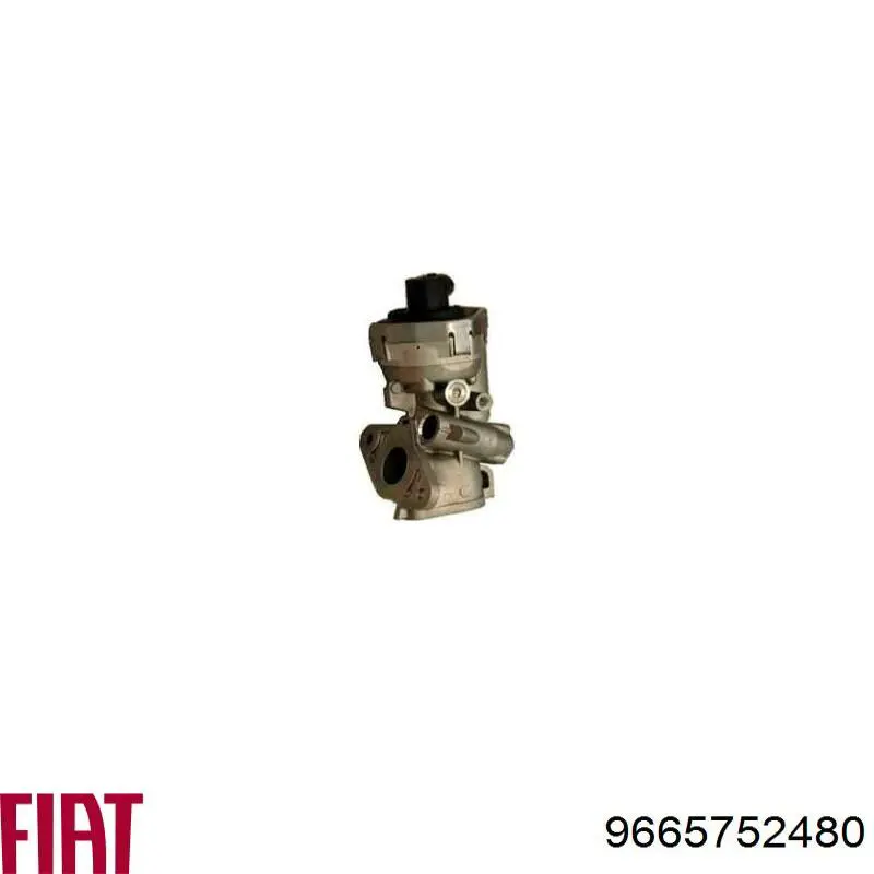 9665752480 Fiat/Alfa/Lancia Válvula EGR