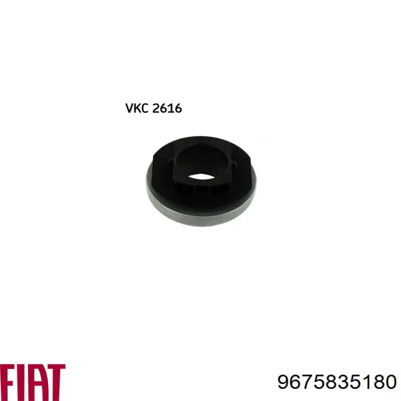 204172 Peugeot/Citroen Cojinete embrague