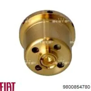 Comprar 9800854780 Fiat/Alfa/Lancia Compresor de aire acondicionado coche