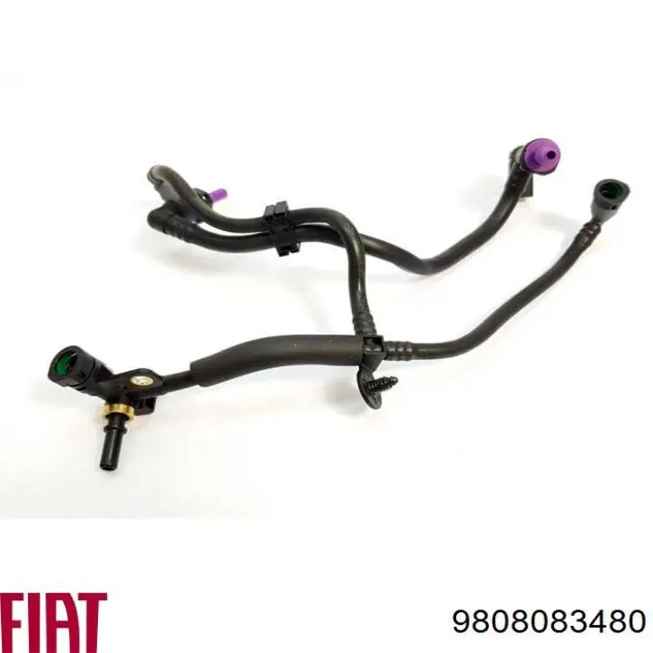 Comprar 9808083480 Fiat/Alfa/Lancia Tubo de retorno de combustible de la bomba de inyección al filtro