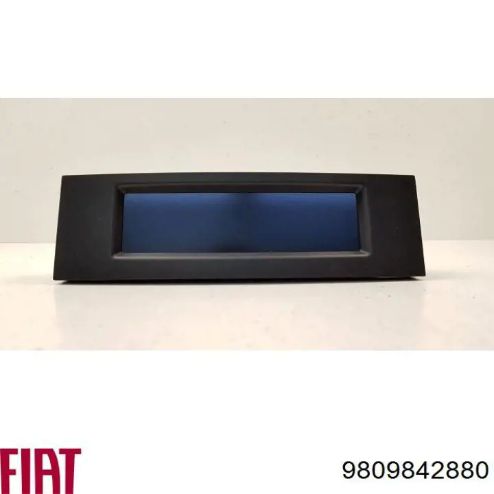  9809842880 Peugeot/Citroen