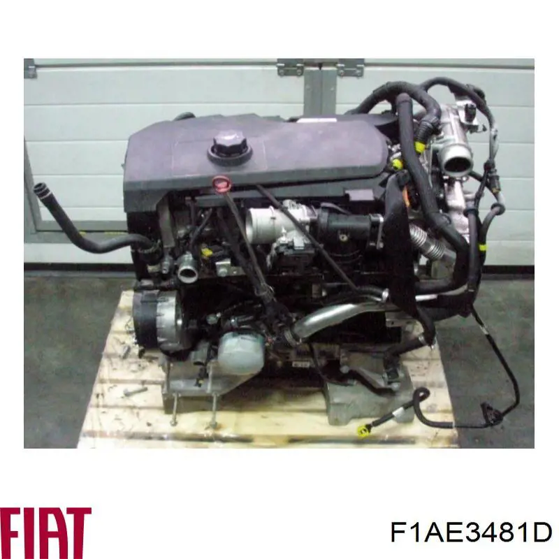 F1AE3481D Fiat/Alfa/Lancia motor completo