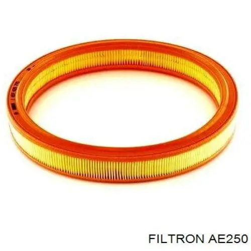 AE250 Filtron filtro de aire