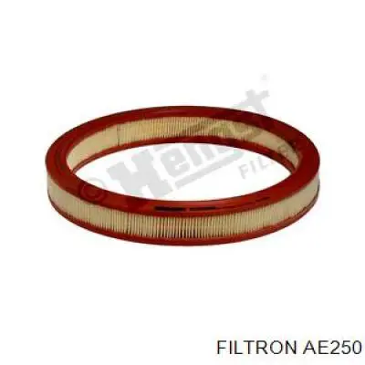 El filtro de aire Filtron AE250 precio, desde 6,31 EUR