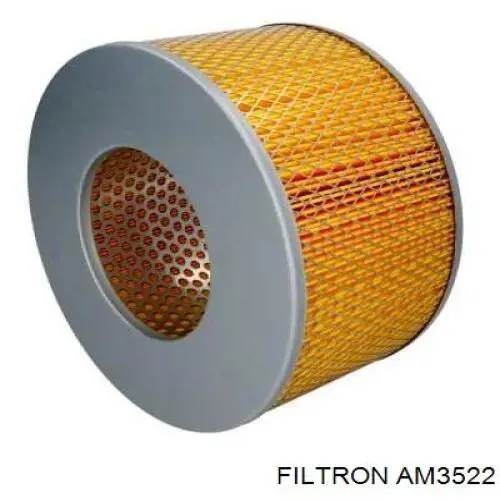 AM3522 Filtron filtro de aire