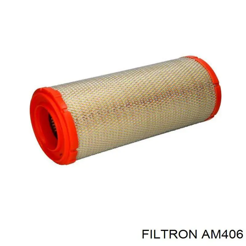 AM406 Filtron Filtro de aire de motor