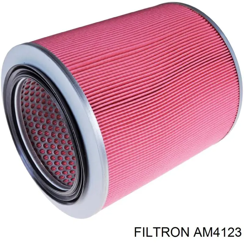 AM4123 Filtron filtro de aire