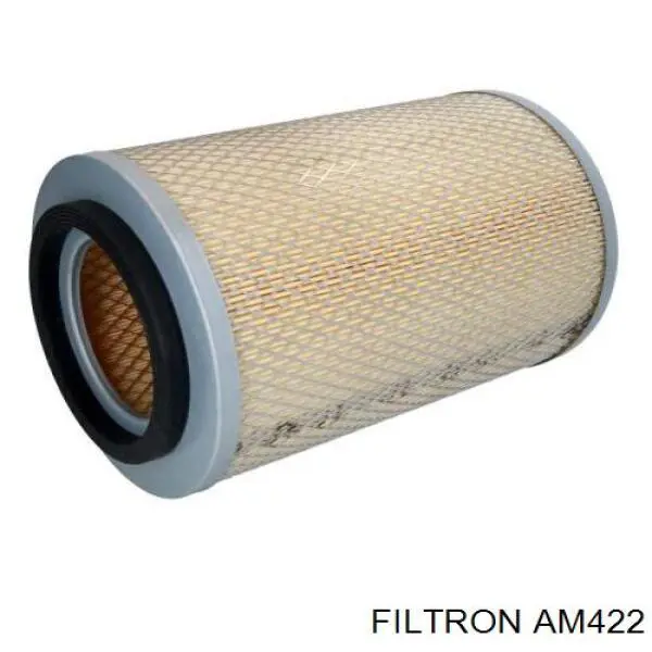 AM422 Filtron filtro de aire