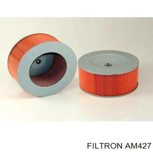 AM427 Filtron filtro de aire