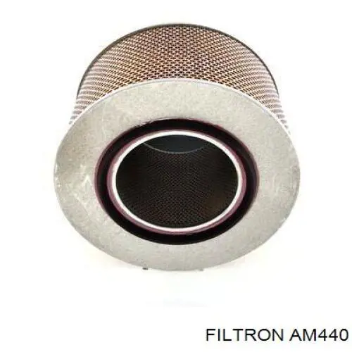 AM440 Filtron Filtro de aire de motor