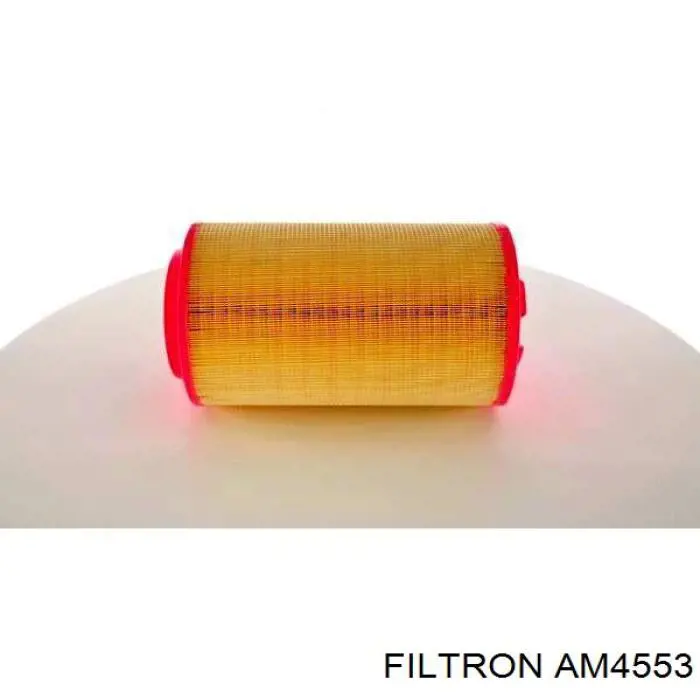 AM4553 Filtron filtro de aire