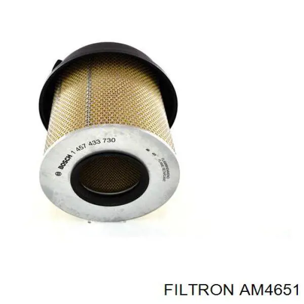 AM4651 Filtron filtro de aire