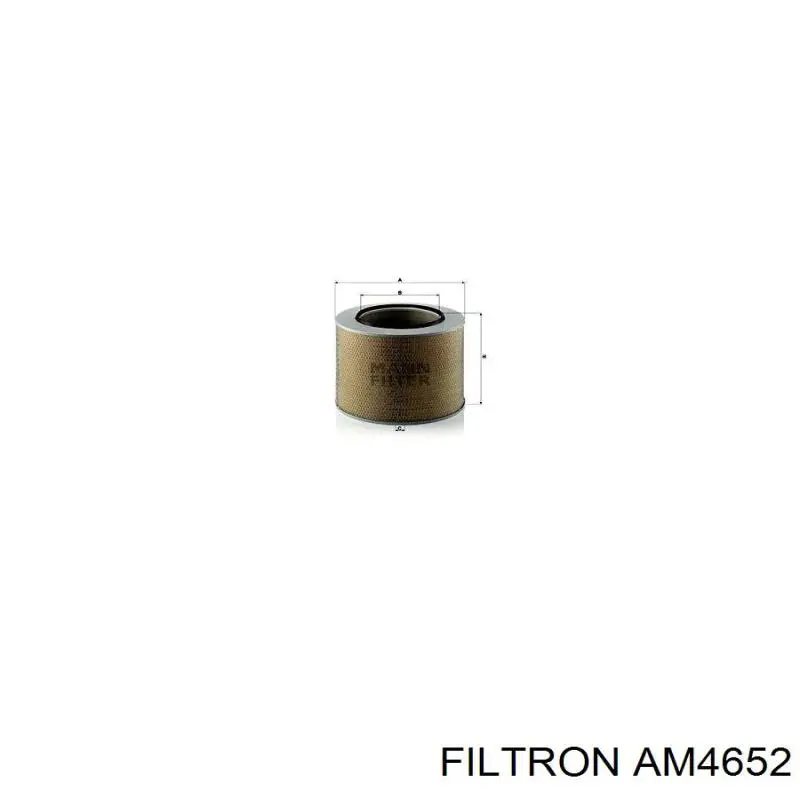 Comprar 461866 Diesel Technic Filtro de aire