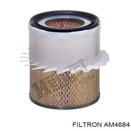 AM4684 Filtron filtro de aire