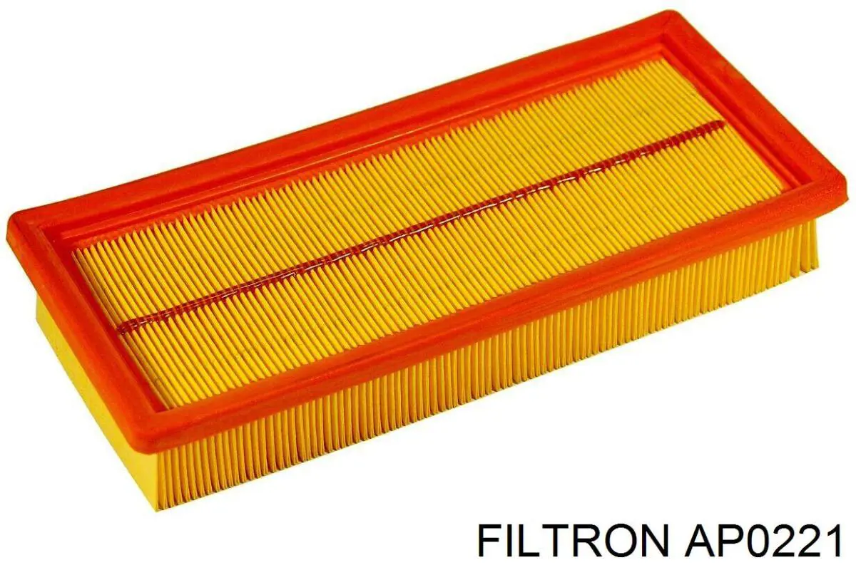 AP0221 Filtron filtro de aire
