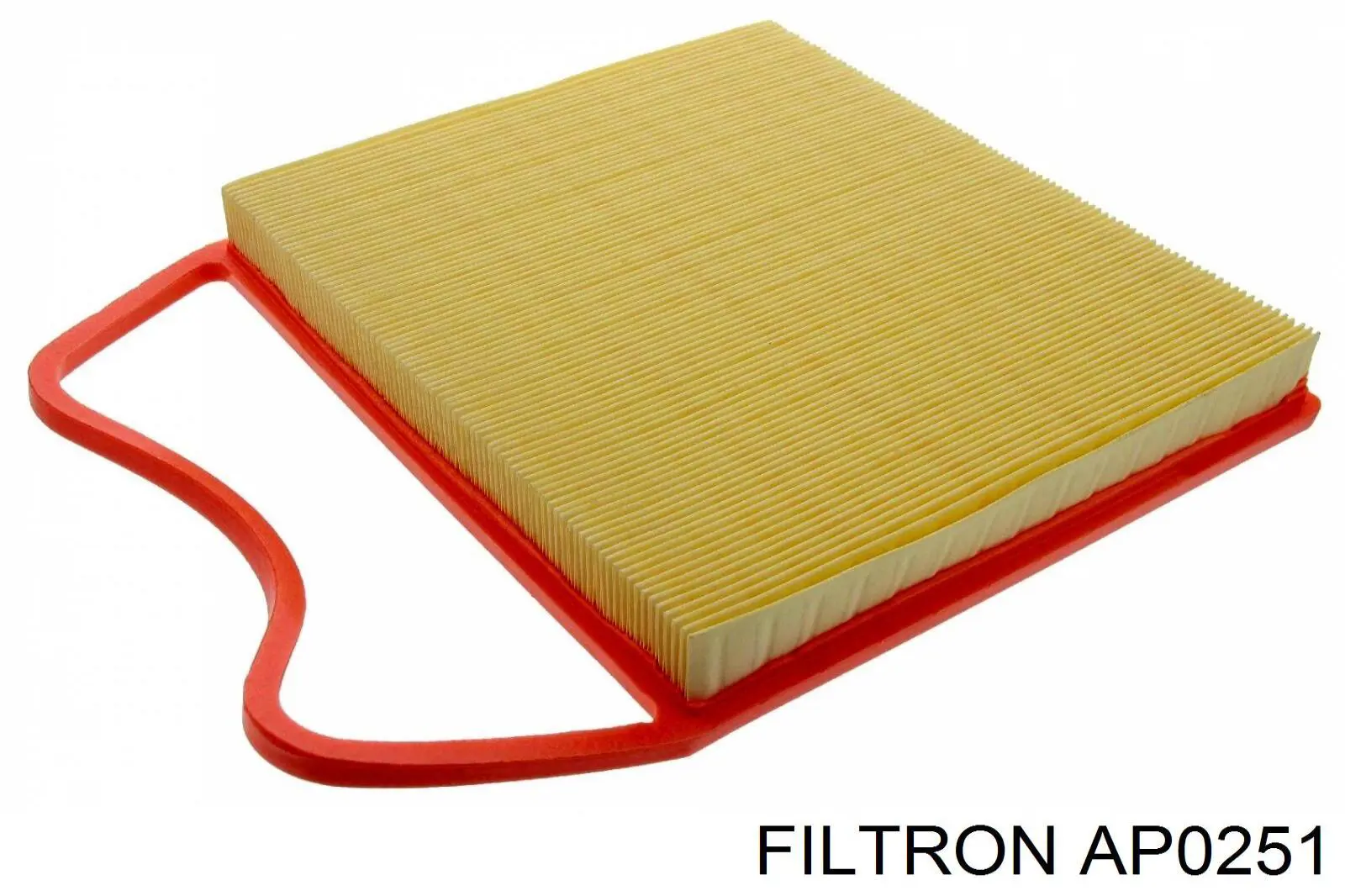 AP0251 Filtron filtro de aire