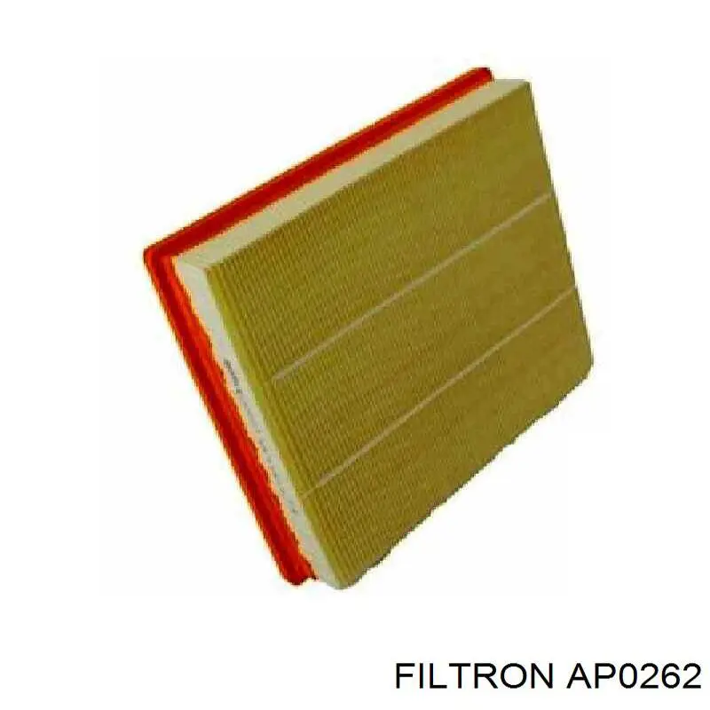 AP0262 Filtron filtro de aire