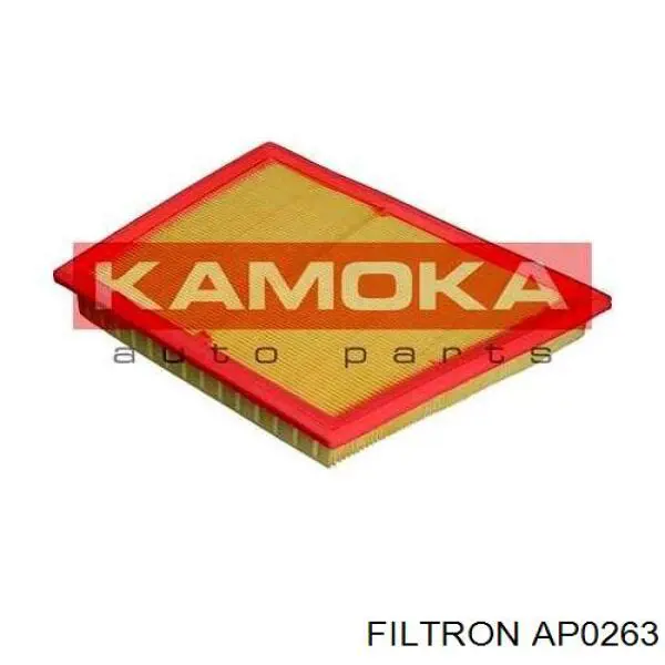 AP0263 Filtron filtro de aire