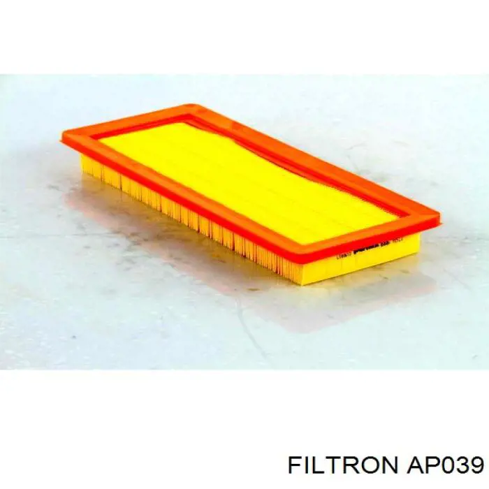 AP039 Filtron filtro de aire
