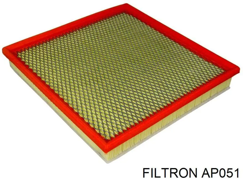 Filtro aire Filtron AP051