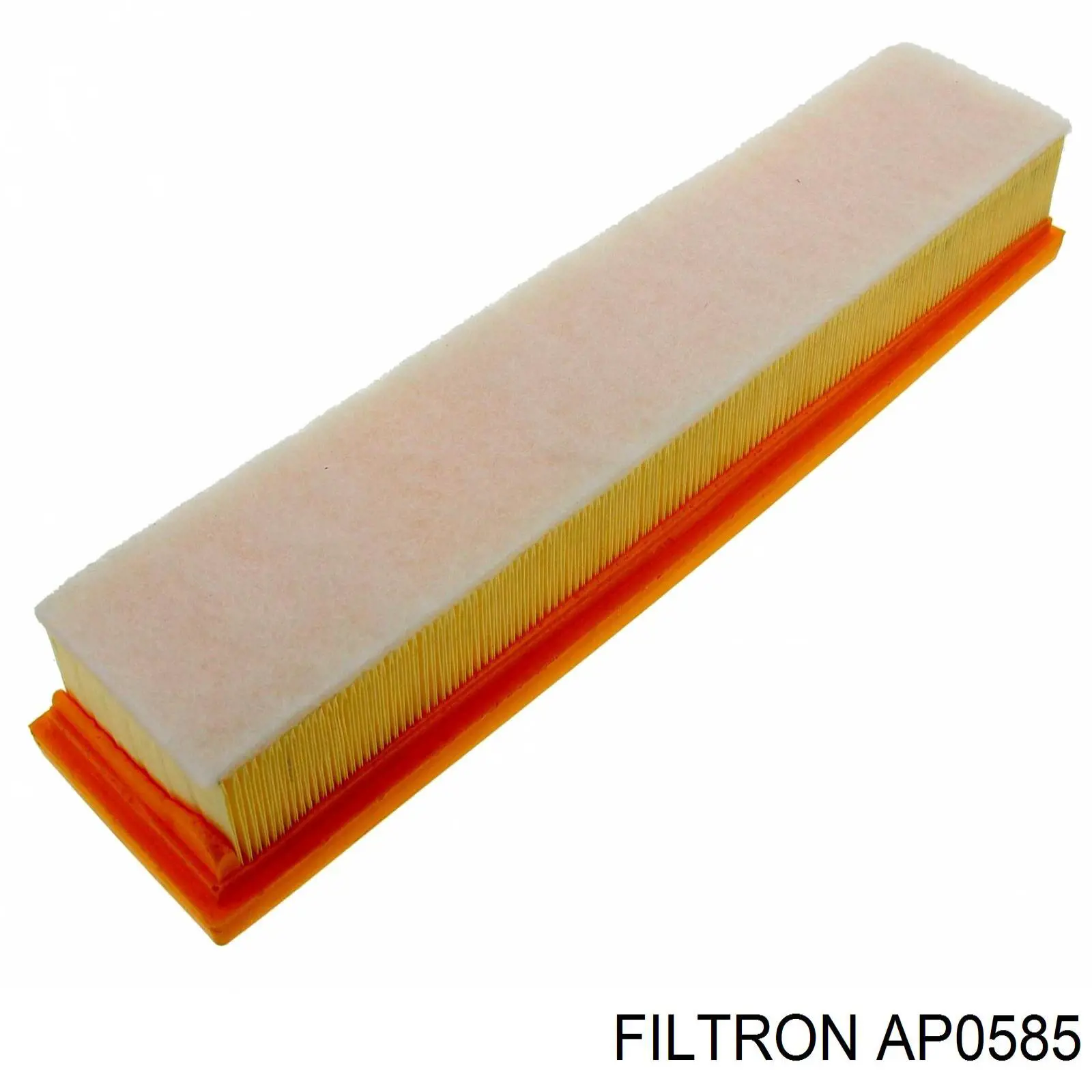 AP0585 Filtron filtro de aire
