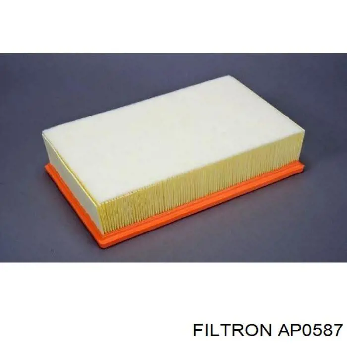 AP0587 Filtron filtro de aire