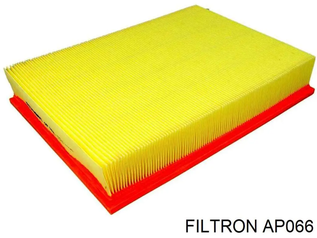 AP066 Filtron filtro de aire