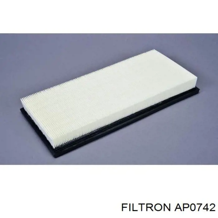 AP0742 Filtron filtro de aire