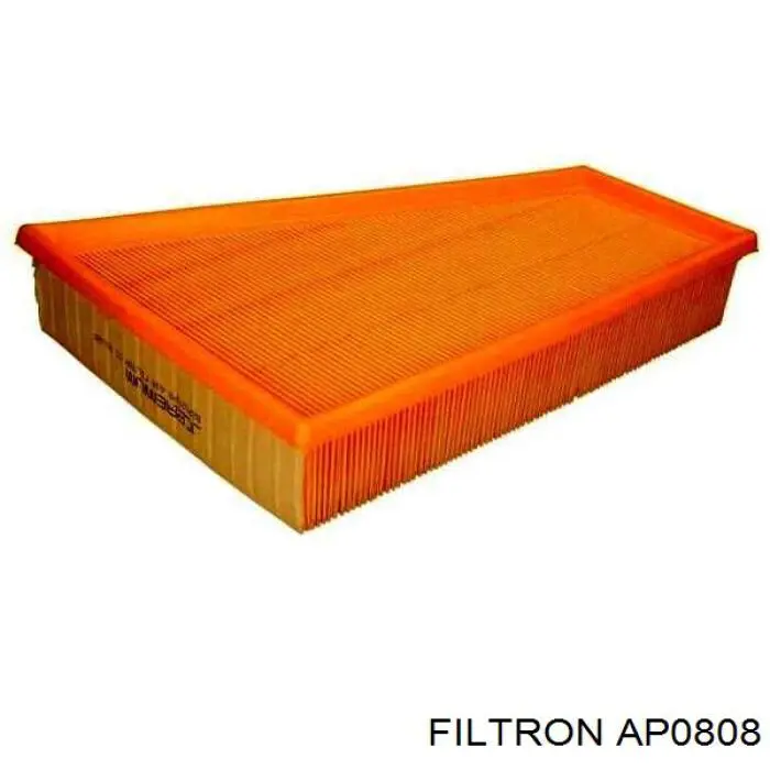 AP0808 Filtron filtro de aire