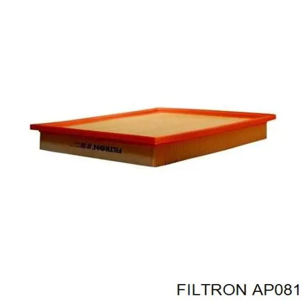 AP081 Filtron filtro de aire