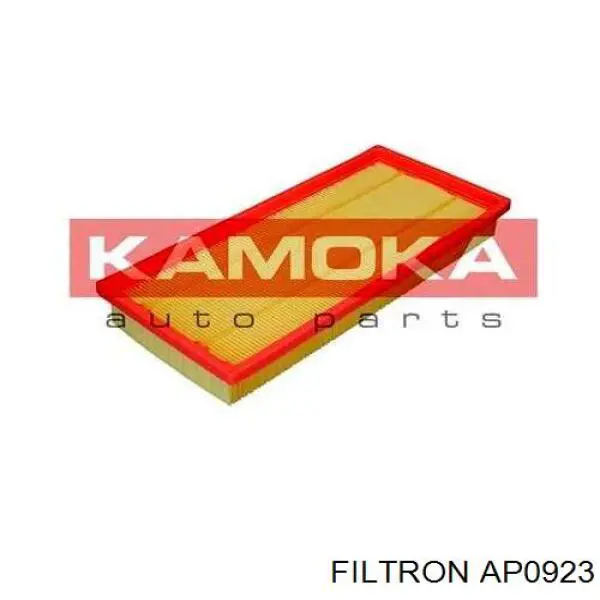 AP0923 Filtron filtro de aire