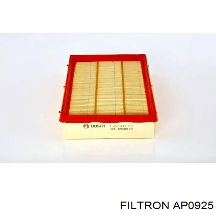 AP0925 Filtron filtro de aire