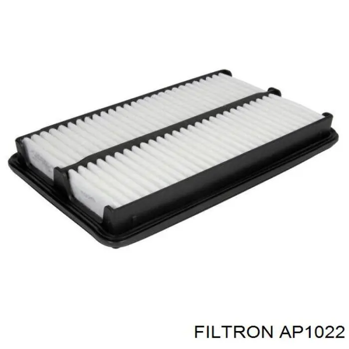 AP1022 Filtron filtro de aire