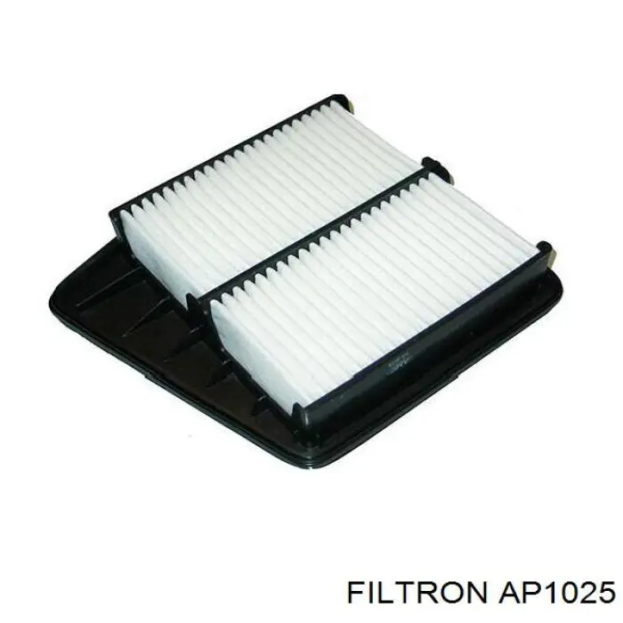 AP1025 Filtron filtro de aire
