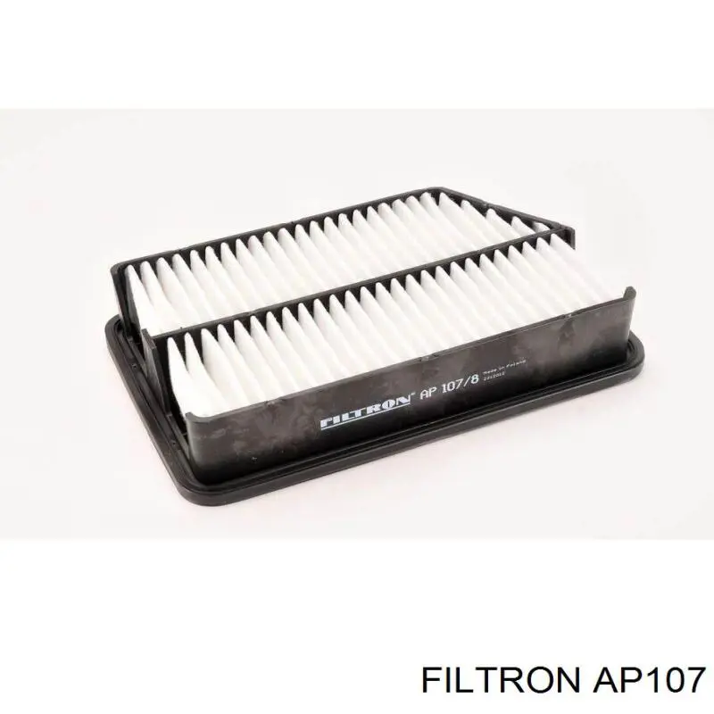 AP107 Filtron filtro de aire