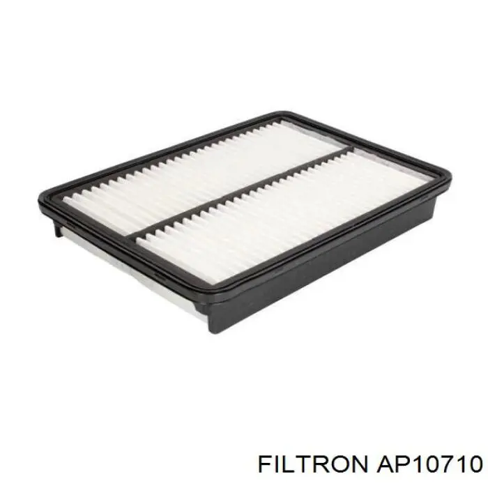 AP10710 Filtron filtro de aire