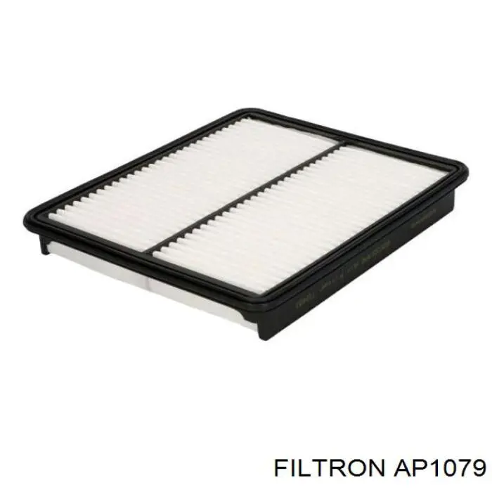 AP1079 Filtron filtro de aire