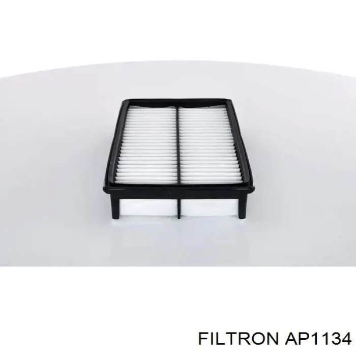 AP1134 Filtron filtro de aire