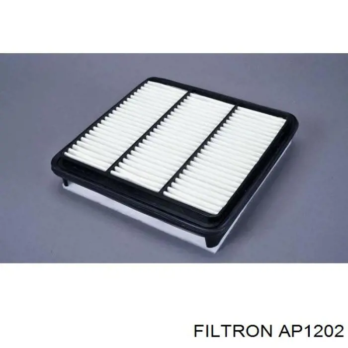 Filtro de aire AP1202 Filtron