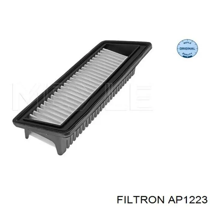AP1223 Filtron filtro de aire