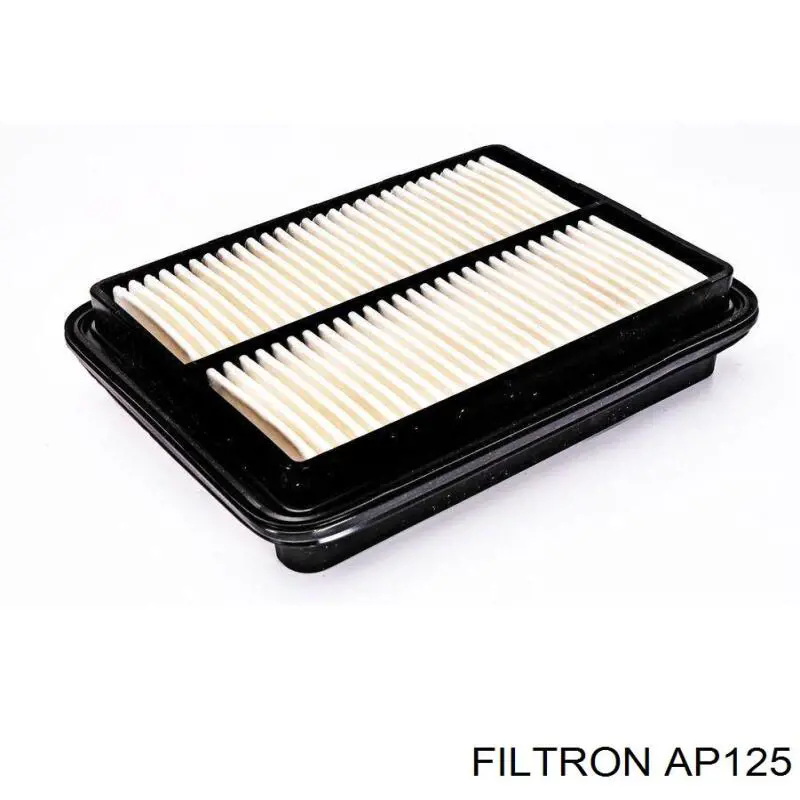 AP125 Filtron filtro de aire