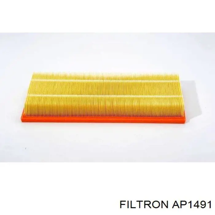 Filtro de aire AP1491 Filtron