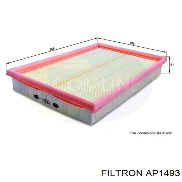 AP1493 Filtron filtro de aire