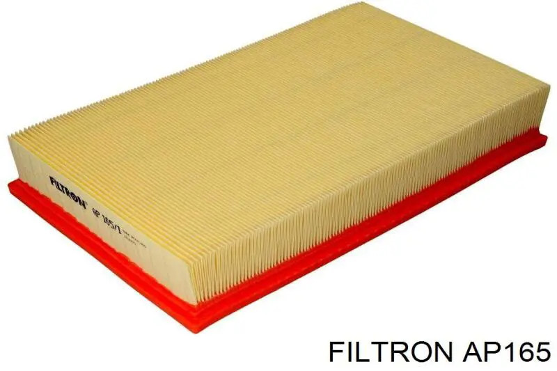 AP165 Filtron filtro de aire