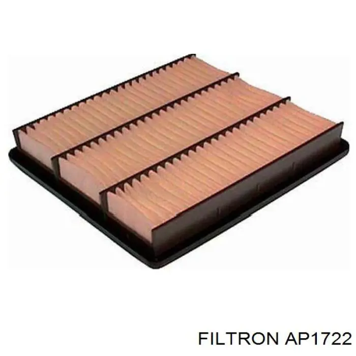 AP1722 Filtron filtro de aire