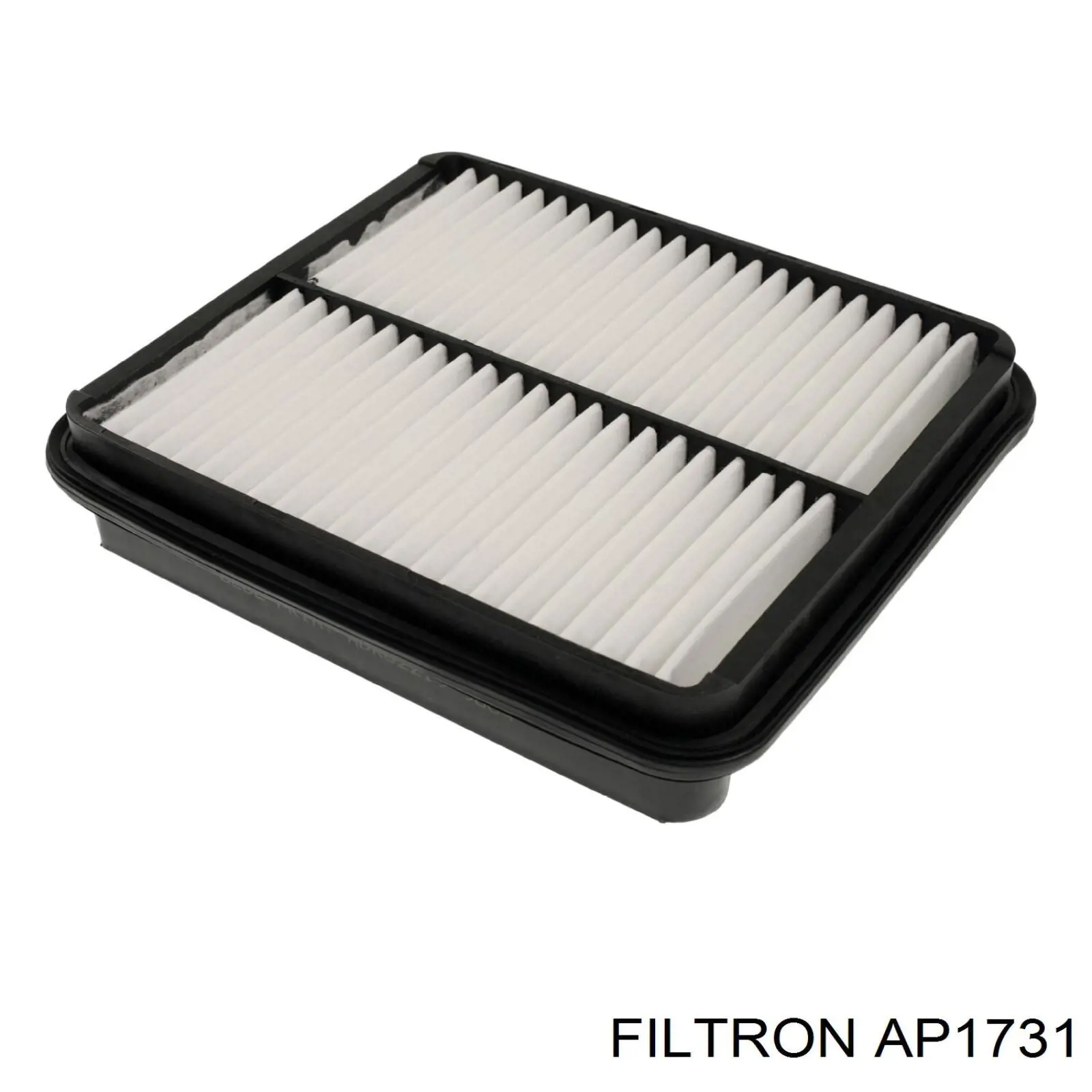AP1731 Filtron filtro de aire