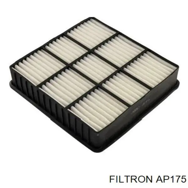 AP175 Filtron filtro de aire