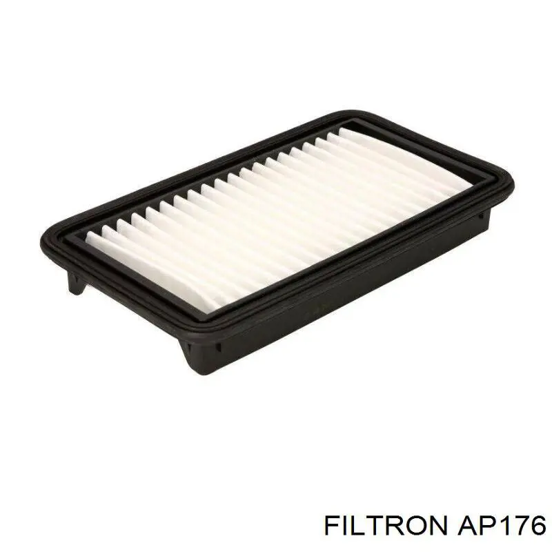 AP176 Filtron filtro de aire