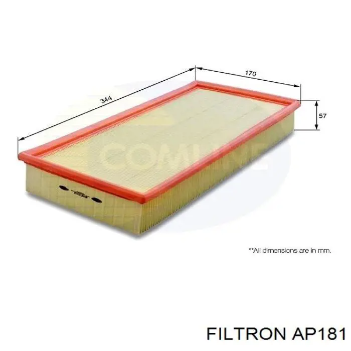 Filtro aire Filtron AP181